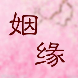 take an image of one's character based on the eight characters