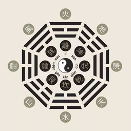 Free Measurement of Their Eight Characteristics Suitable for Business