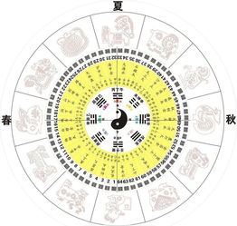 chen wu xu wu dec hai eight-character analysis