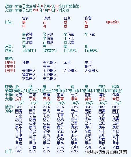 What do wu and xu mean in bazi (What does wu xu mean in bazi)