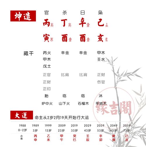 The wounded official born of the wealth frame body weak anti-poor