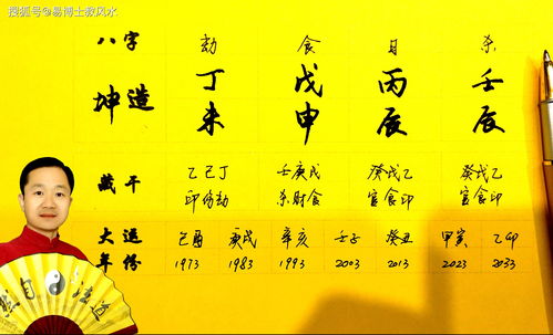 Example of a fortune where the day stem Xin Jin is prominent (the best five element match for the Xin Jin Day Master in the Eight Character Set)
