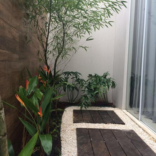 Da Liunan what is the meaning of the patio