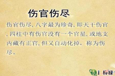 The Numerology of the Eight Characteristics of an Injured Official (What is the meaning of Injured Official in the Eight Character)