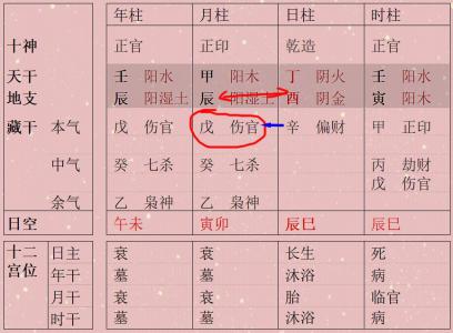 What do two Shen and two You represent in the Eight Character Earthly Branches?