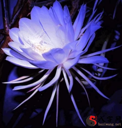 Yixue Bazi fortune-telling Xuankong basic knowledge sharing 