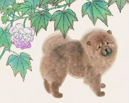 What is the life of a dog person is the life of gold, wood, water, fire and earth which life