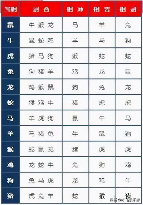 How to look at spouse information in the eight characters