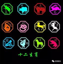 Six collisions of the eight signs of the genus match (six collisions of the genus of the people can be a husband and wife)