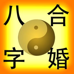 Two people's eight characters together (how to calculate the two people's birth characters together)