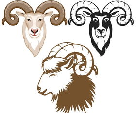 Sheep and goat compatible marriage how to be together suitable