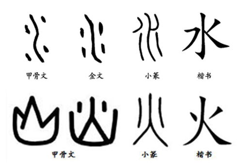 What are the characters of wood in the eight characters of the name