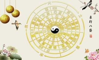 Five elements lack of wood 八字喜金男孩名字大全(五行缺金缺木的男孩名字)