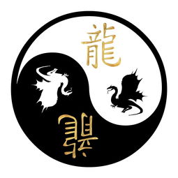 What are the five elements of the Rabbit in 2023