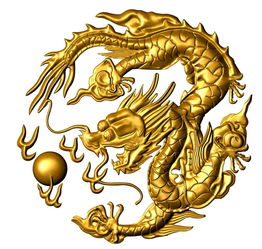Dragon's Financial Fortune at 47