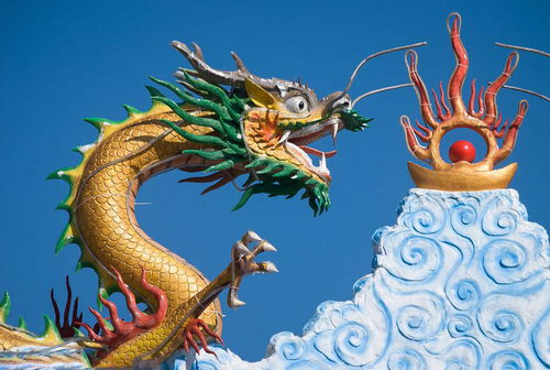 1952 Dragon Horoscope