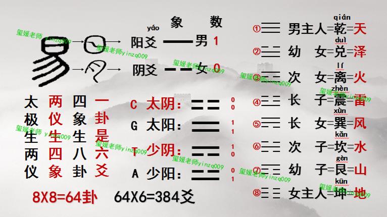 6 copper coins trigrams divination method