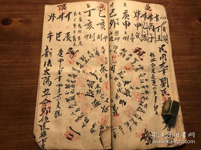 How to read Zi Wei Dou Shu Liu Ri Pan