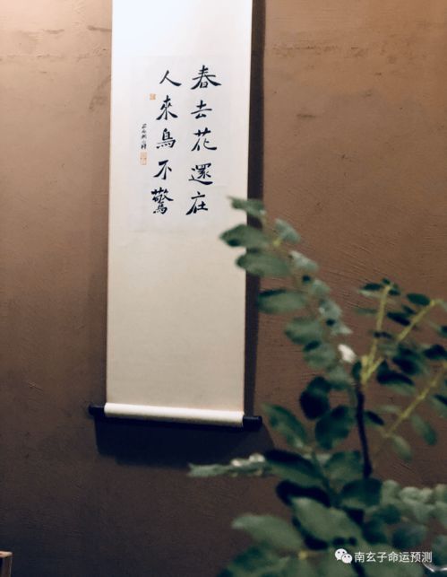 Zi Wei Daxun and Bazi Daxun (Zi Wei Dou Shu and Bazi Daxun are the opposite of good and bad)