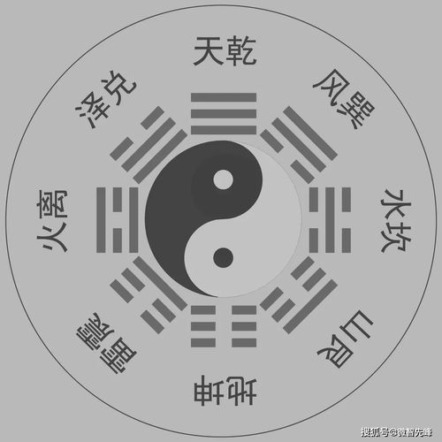 Ziwei Natal Chart Detailed Explanation (free version)