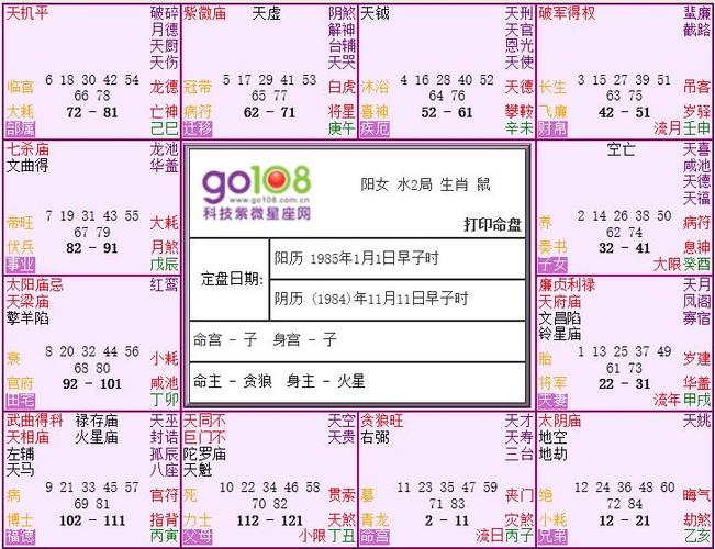 Year of Flow Zi Wei Natal Chart Analysis