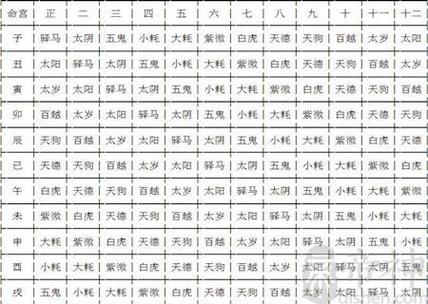 Ziwei Numerology Chart that is Expensive due to Marriage