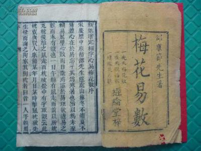 Hexagrams and Plum Blossoms (Hexagrams tell all the world's affairs and Plum Blossoms resolve the world's suffering)