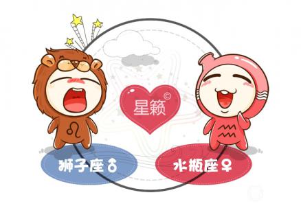 Leo and Aquarius Zodiac Sign Pairing Index