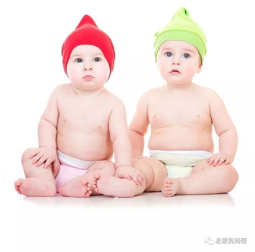 Year of the Dog Baby Name Claims Eight Characters
