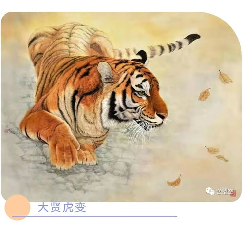 Tiger and Horse together how the financial luck?