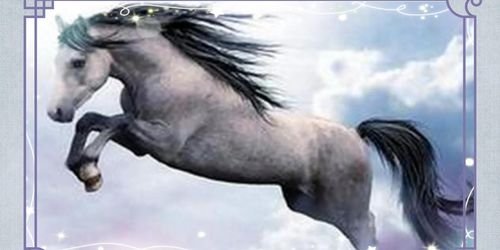 1978 Horse 44 Years Old Horoscope