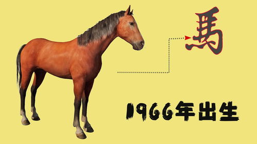 The 1966 Horse's horoscope for this year