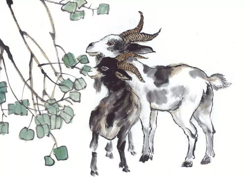 1979 Year of the Goat 2023 Lucky Color