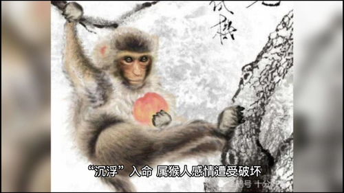 2004 Monkey 2023 Horoscope and Prospects
