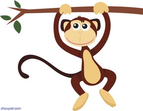Boys monkey and what genus is compatible
