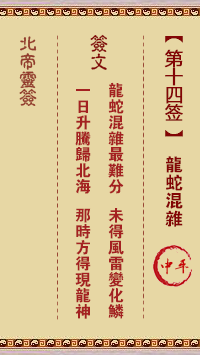 Bei Di Ling Zhi 14th Sign: Dragon and Snake Mixed Up Zhong Ping